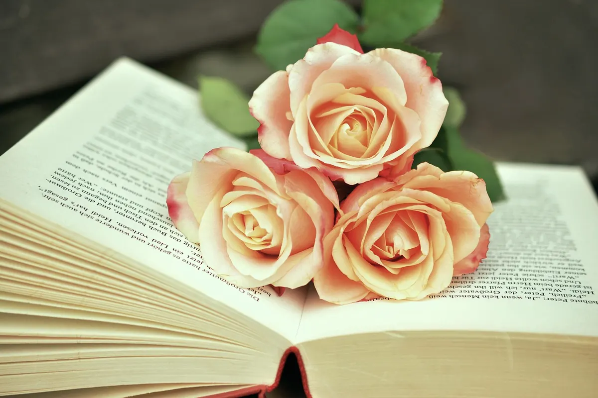 How to Start a Book Club in Your Local Pub: 12 First Reads for Your First Meeting