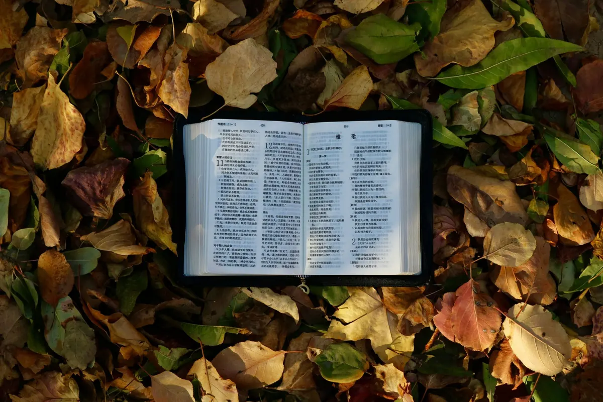 Seasonal Reading: 12 Cosy Books for Autumn Evenings in the UK